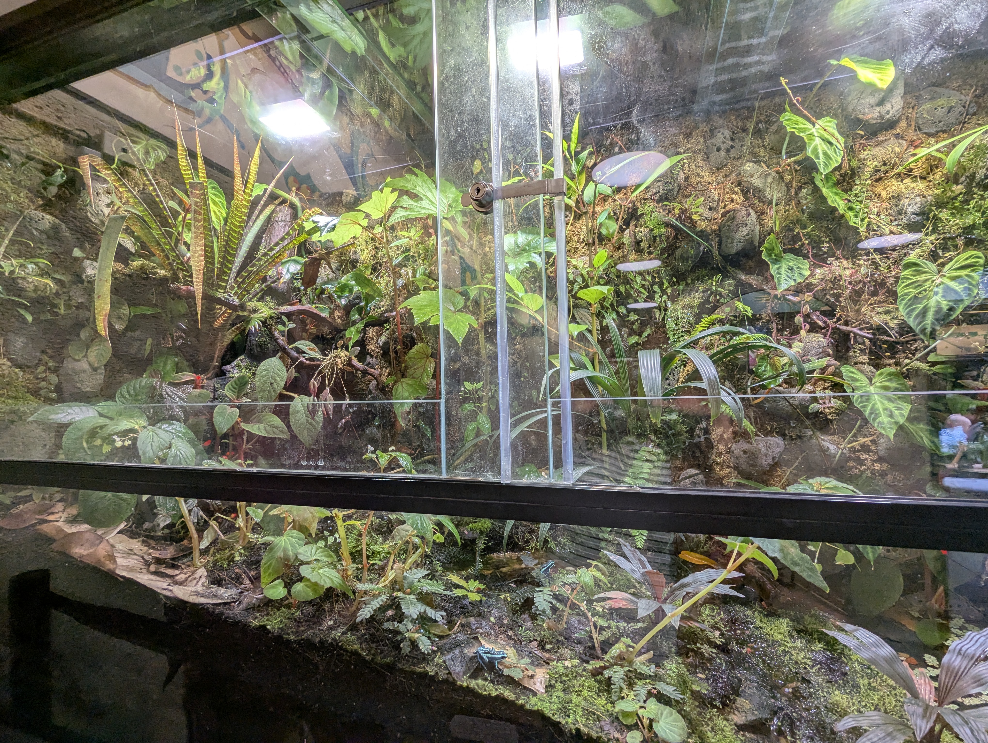 Birthday Trip to Canada, Edmonton, Pyramids, Muttart Observatory